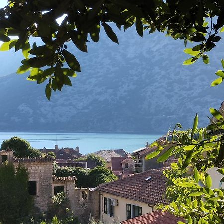Apartments Montenegro Risan Cuckovic 外观 照片