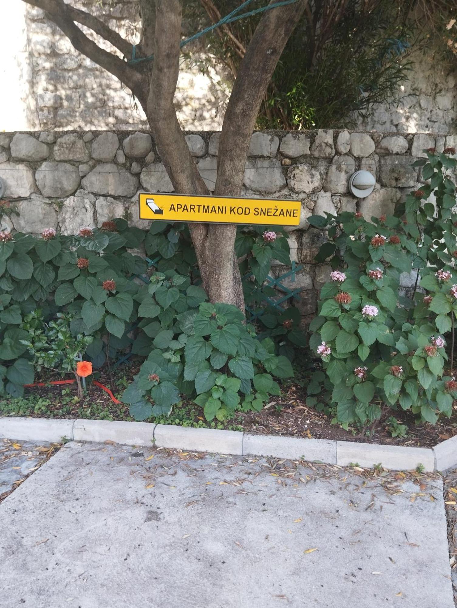 Apartments Montenegro Risan Cuckovic 外观 照片